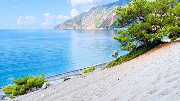 A coastal landscape with a clear sky, a sandy beach, and a prominent pine tree. - "Acrothea Villa Beheizter Pool" by Interhome (Georgioupoli)