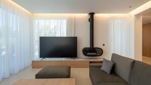 Fernseher