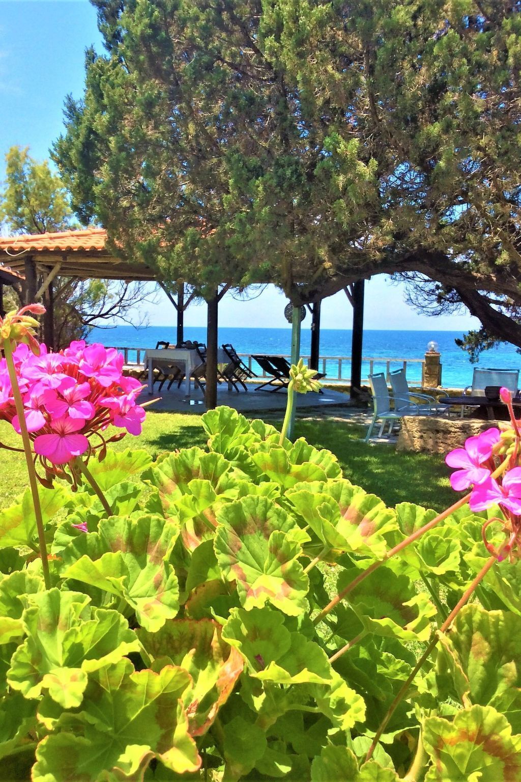 Áreas de la propiedad