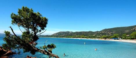 Plage
