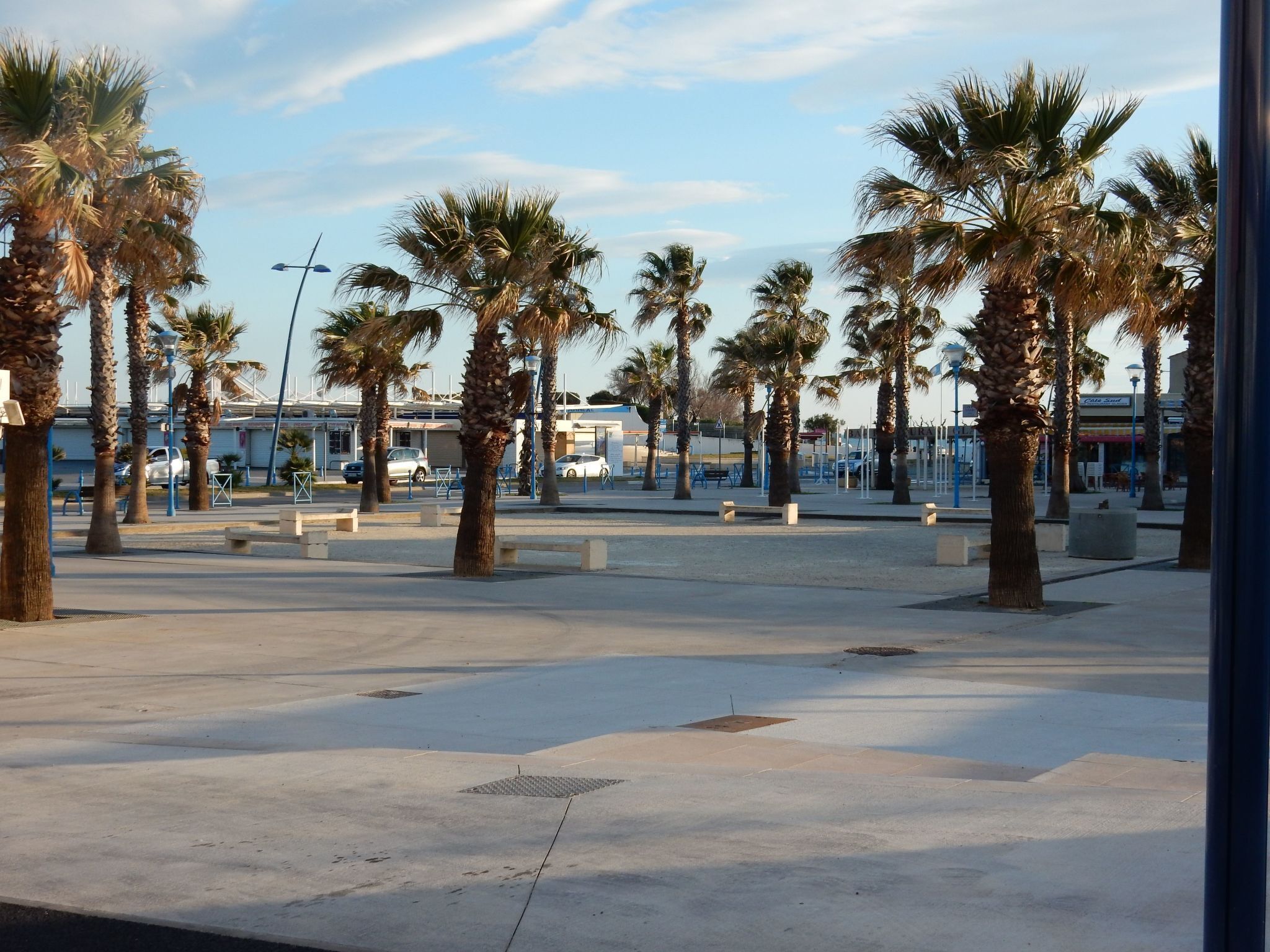 A spacious public square with palm trees and benches, featuring a clear sky and buildings in the background.