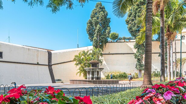 Property grounds - Herz-Altstadt-Zentrum Wohnung 5 STARS by Interhome (Madeira/Funchal)