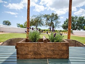 Property grounds - Ferienvilla mit Garten, Grill und Terrasse by Interhome (Silves)