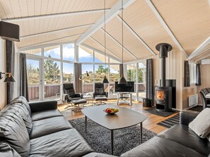 Fernseher, Kamin