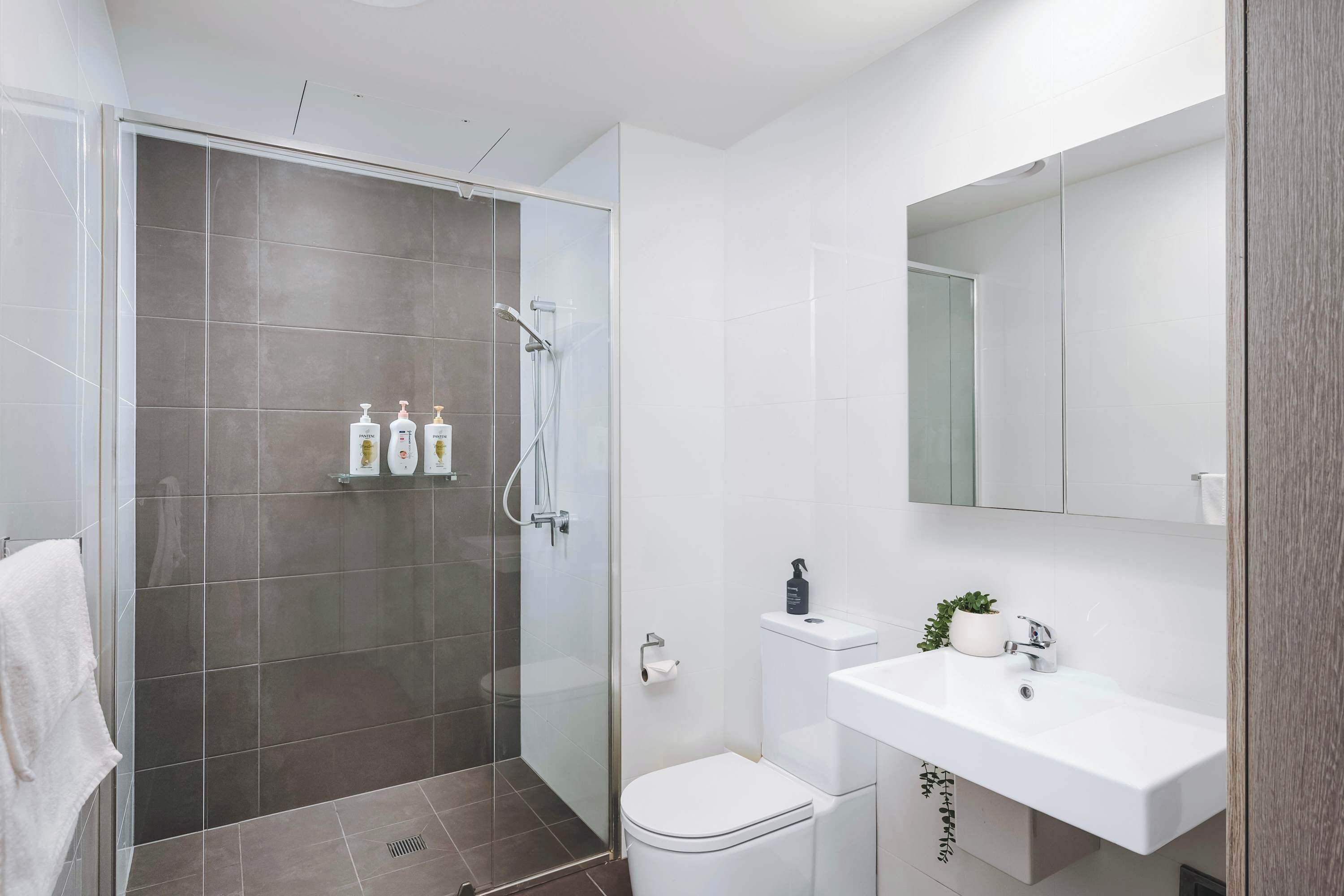 A modern bathroom with a glass shower enclosure, a white toilet, and a sink with a mirror above it.