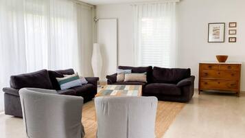 Fernseher, Kamin, DVD-Player