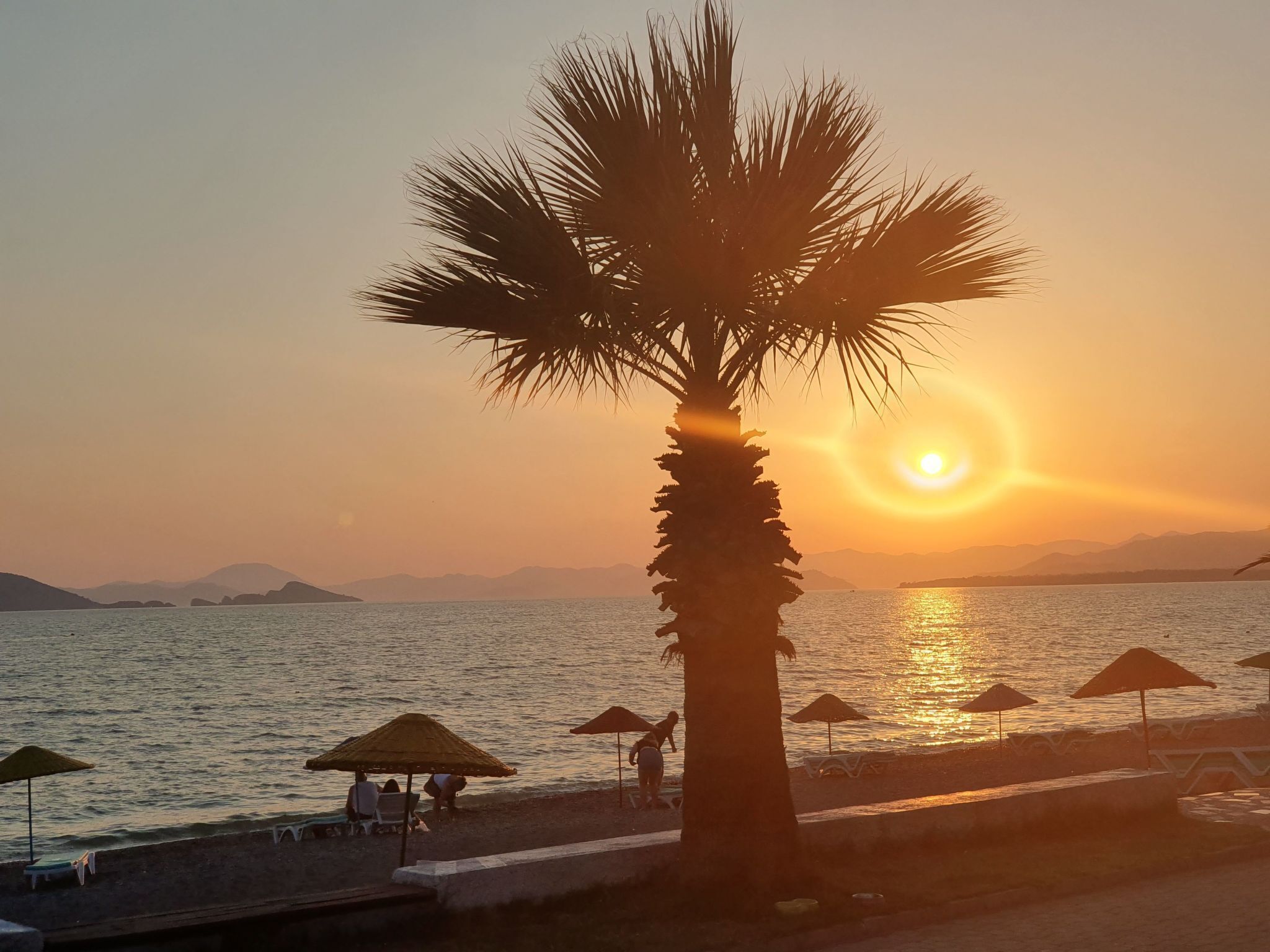 A beach scene with a palm tree, sun, and water.