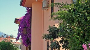 Un homme se tient devant une maison, avec un portail en fer forgé, un chemin de pierres et un jardin où poussent des fleurs violettes.