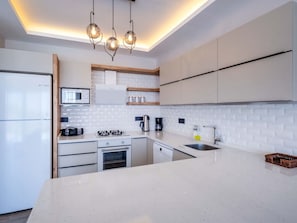 Fridge, oven, dishwasher, cookware/dishes/utensils