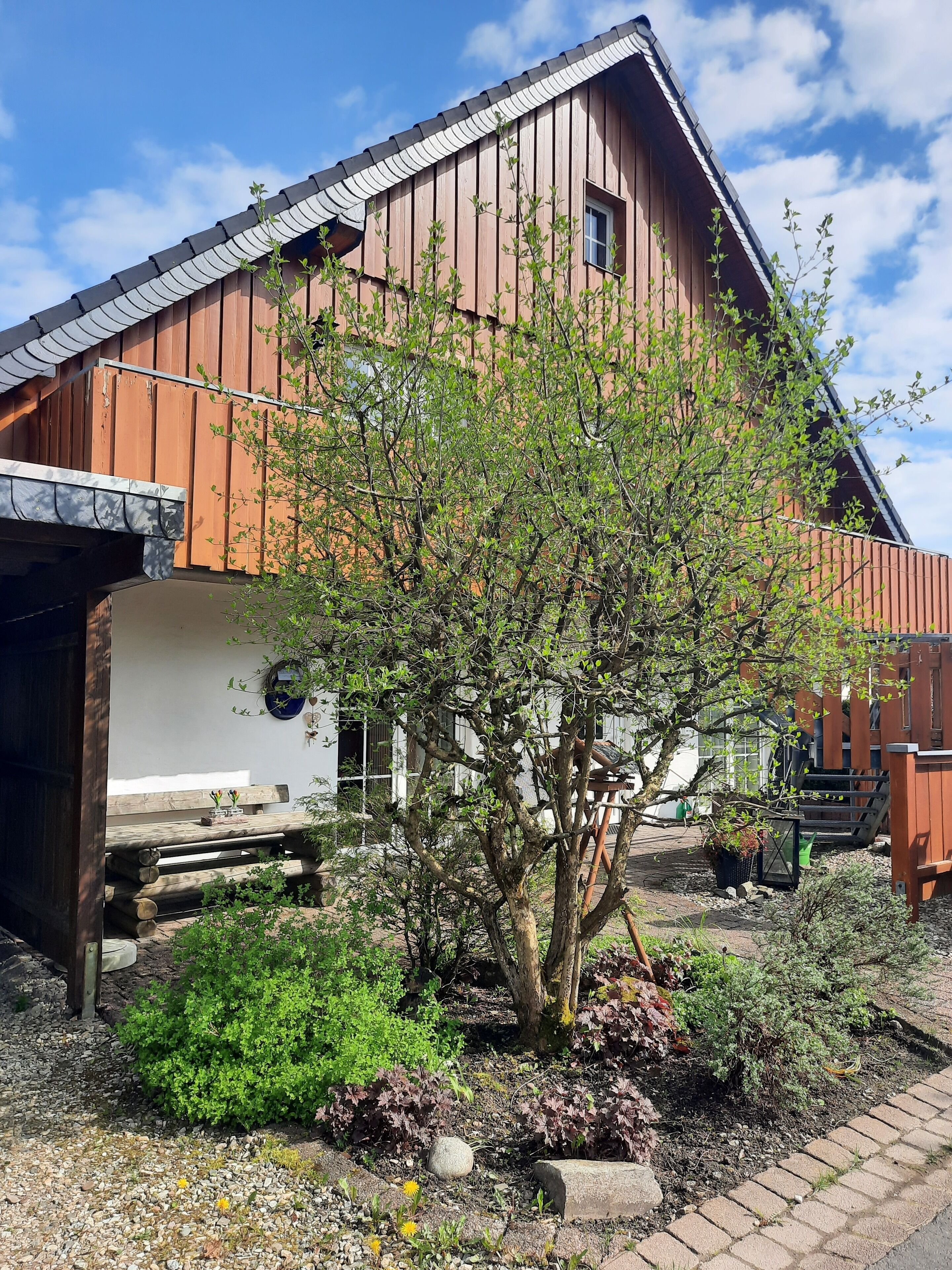 A rustic wooden barn with a sloped roof, surrounded by a garden with various plants and a small tree.
