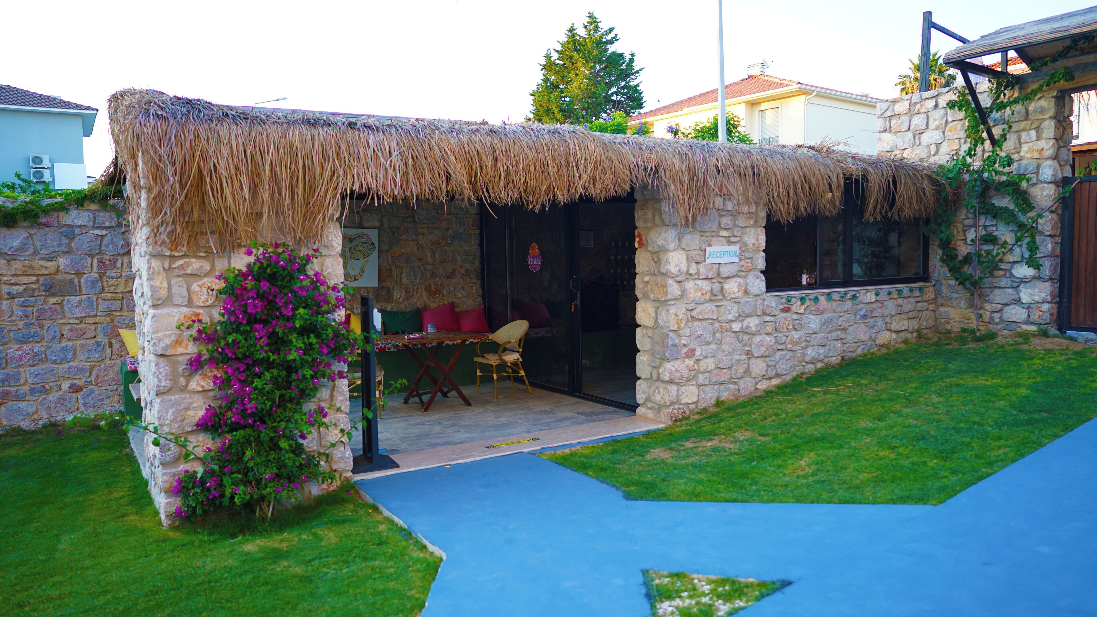 Habitación básica | Terraza o patio