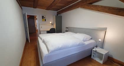 Directly at the Villingen Fastnet parade, 11 guests