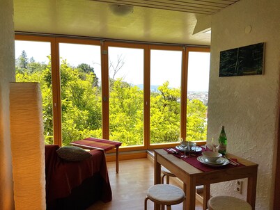 Freiburg-Herdern, a suburban, near-natural area!