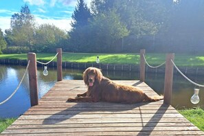 A dog on a wooden dock by a calm body of water with a grassy area and trees in the background. - Holiday Home With Sauna, Jacuzzi, Private Pond (Lipusz)
