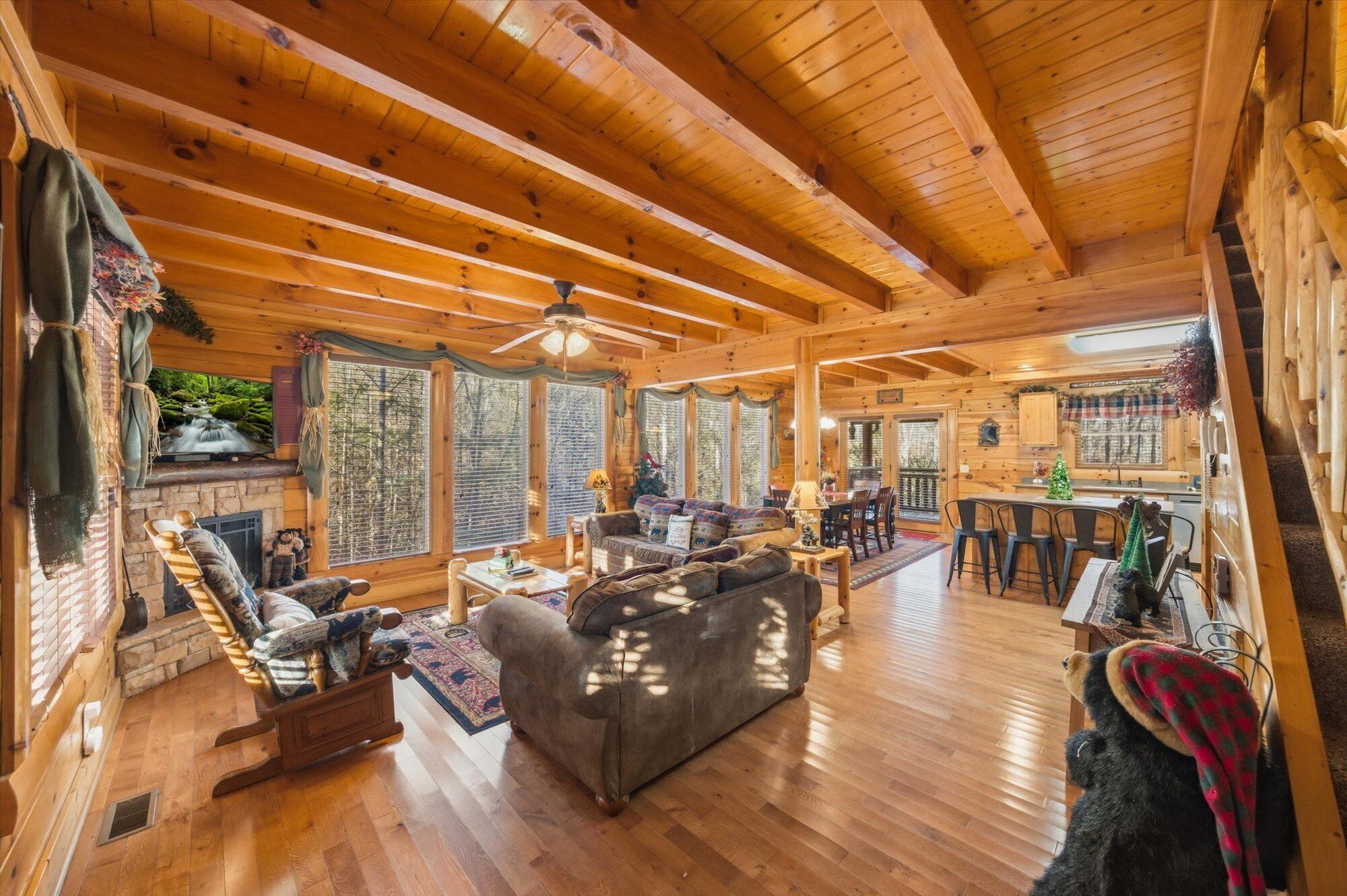 TV, fireplace, video games