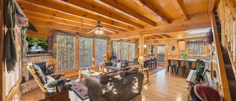 Televisión, chimenea, videojuegos