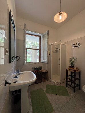 Shower, hair dryer, bidet, towels