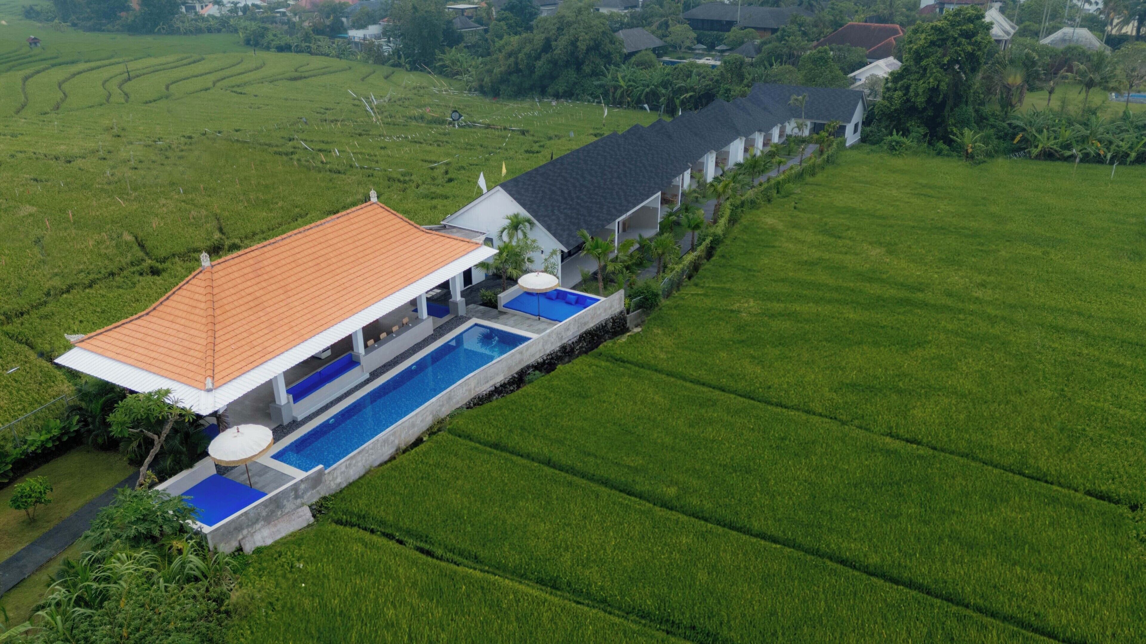 Ein modernes Haus mit Swimmingpool, umgeben von üppigen, grünen Feldern.
