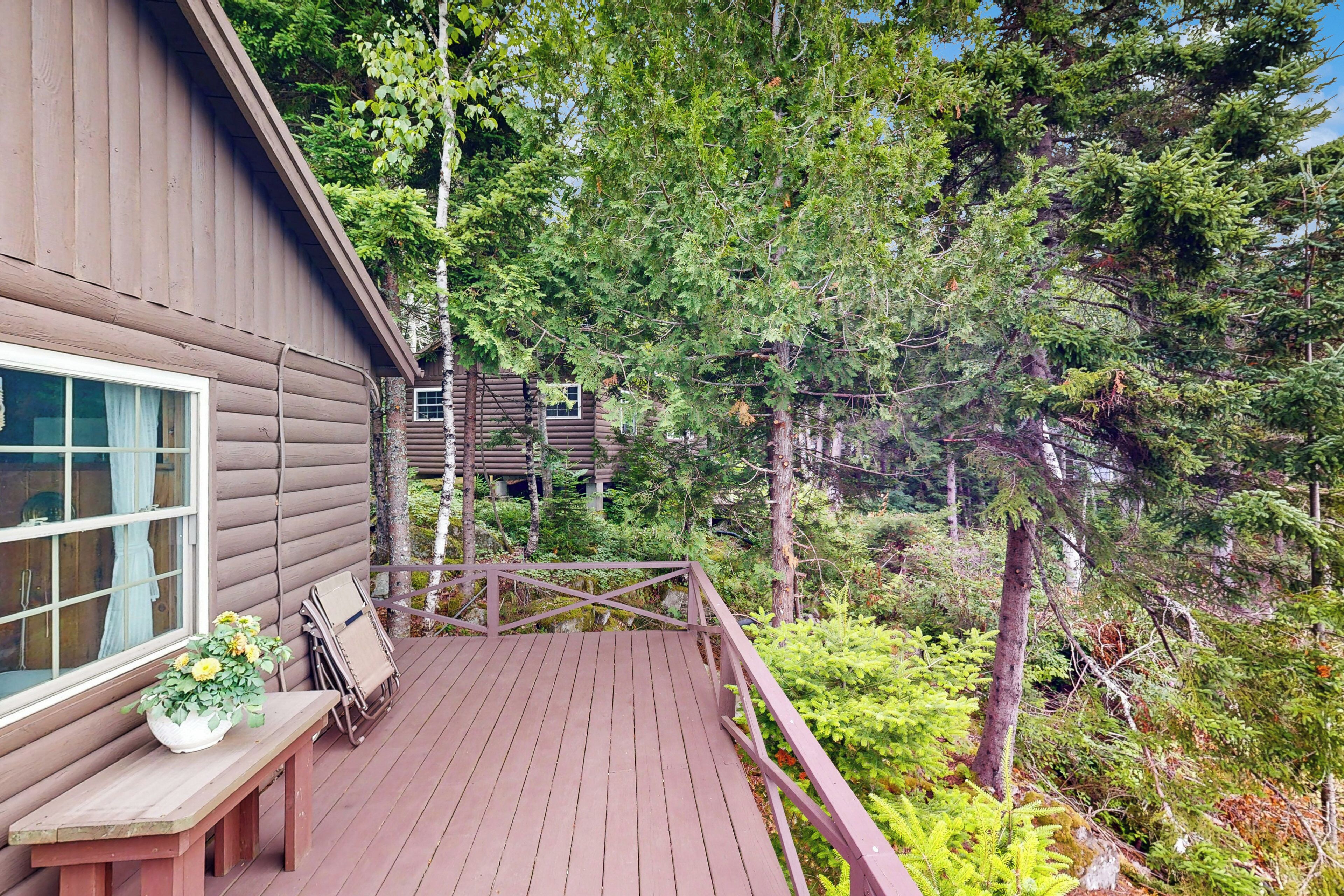 A wooden deck with a railing, a window with curtains, and a potted plant.