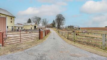 A rural road leading to a farm with barns and a fenced area.