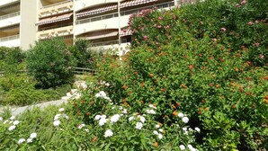 Ein mehrstöckiges Hotel mit Balkonen, umgeben von üppiger Vegetation und blühenden Pflanzen.