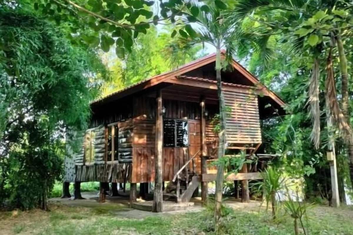 A rustic wooden cabin surrounded by lush greenery.