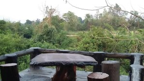 Ảnh chưa phân loại, 3 trong số 13 ảnh, nút