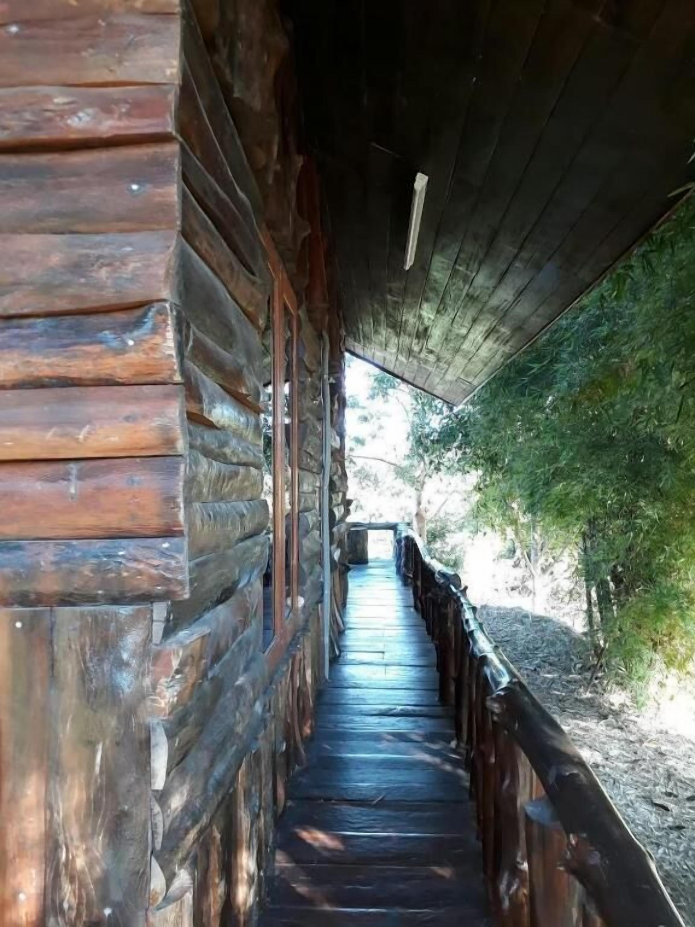 Habitación cuádruple familiar | Terraza o patio