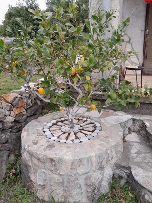 Property grounds - Apartment made of natural materials in nature near the sea (Krimovica)