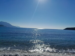 Nära stranden