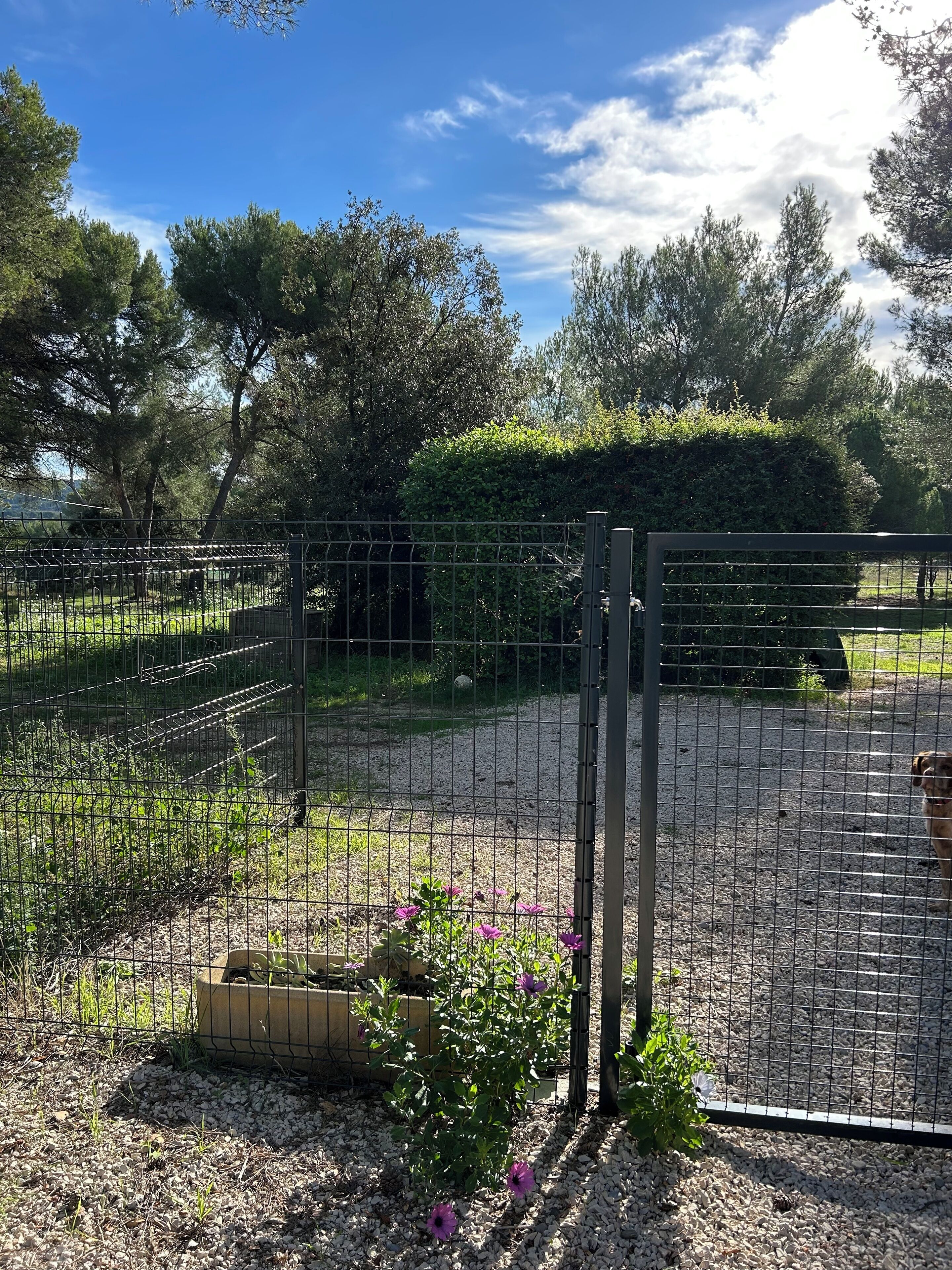 Enceinte de l’hébergement