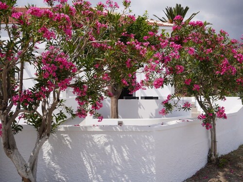 | The Mill - Studios |