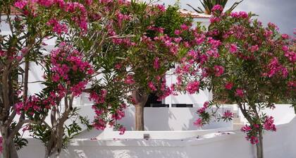 | The Mill - Studios |