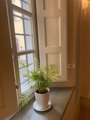 Interior - Casa dei Cherubini ground floor with garden - pet friendly (Lucca)