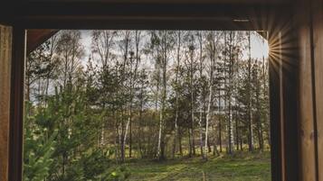 House | View from property