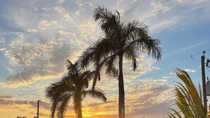 Vista do pôr do sol com palmeiras e uma estrada.