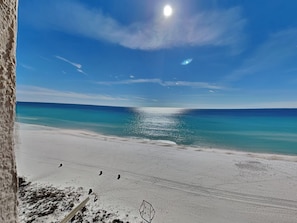 A beach with a clear sky, a bright moon, and calm sea. - Dunes of Panama #D801 | Gulf Front, Sunroom + Amenities (Panama City Beach)