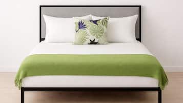 Estudio | Wifi gratis