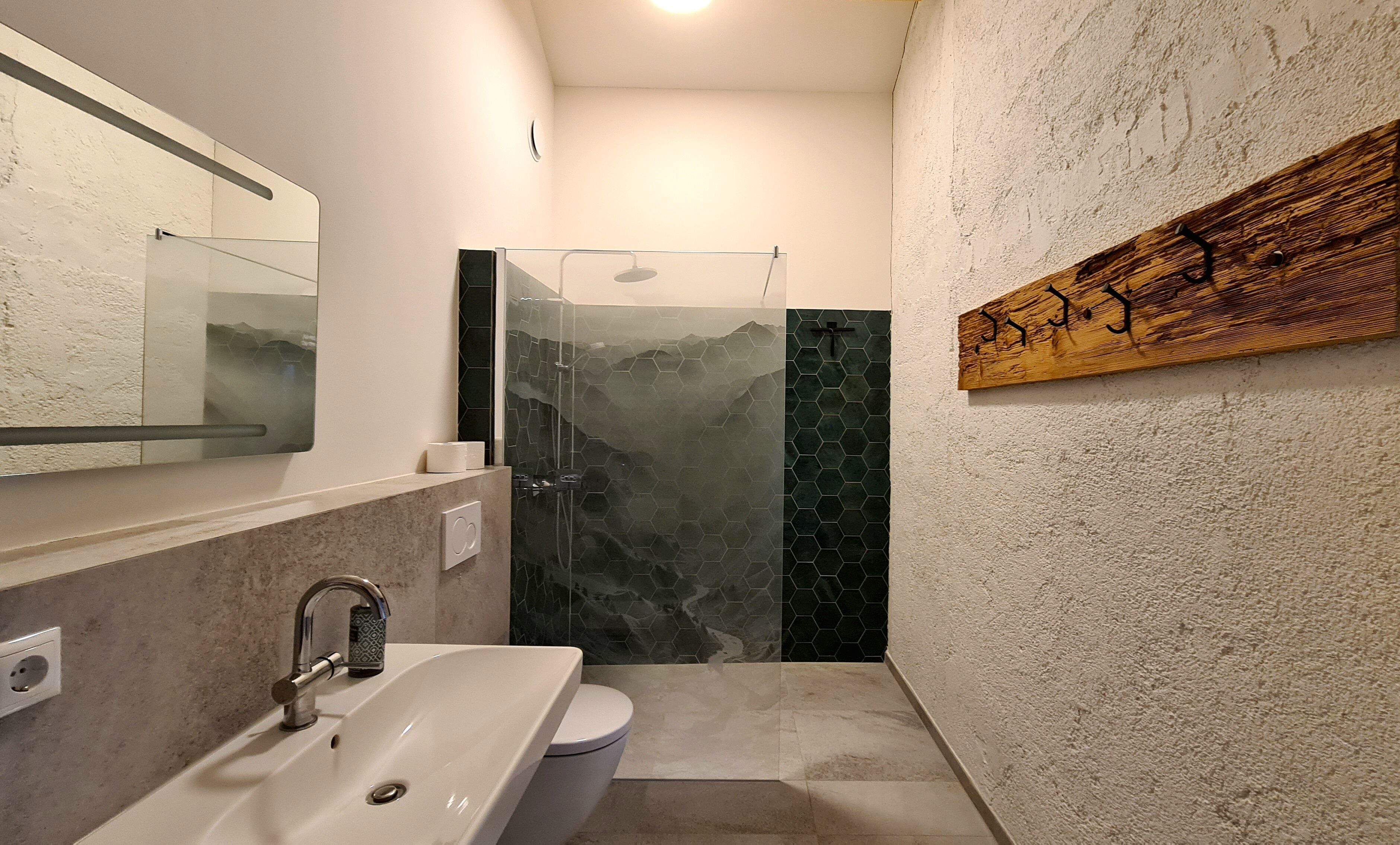 Shower, hair dryer, towels, toilet paper