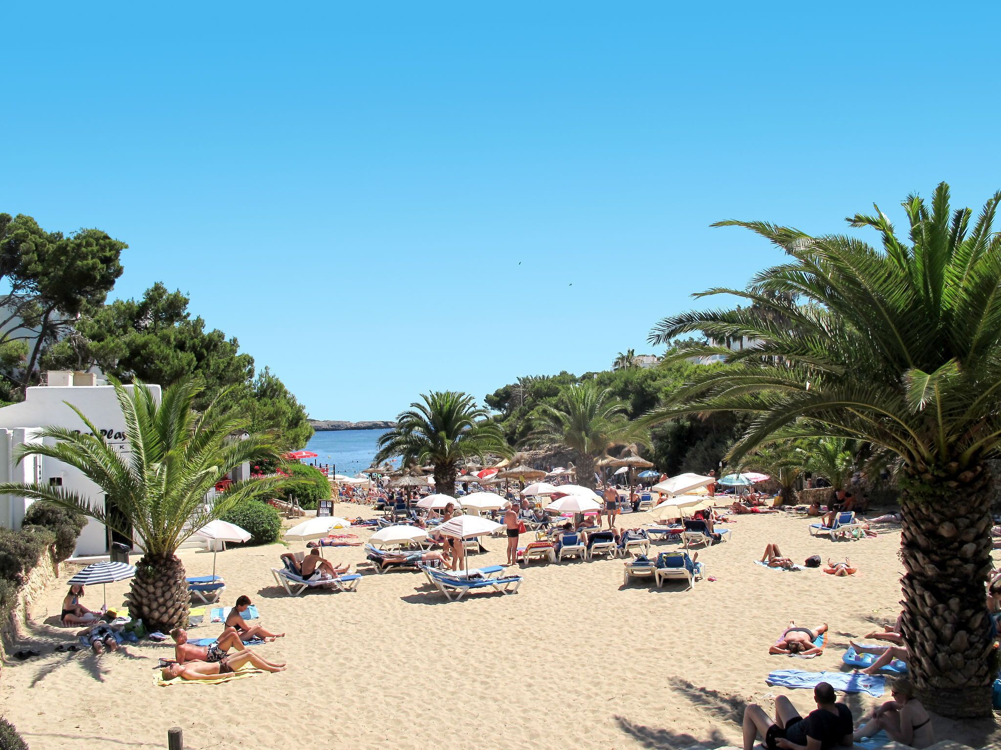 A beach with sun loungers and umbrellas, palm trees, and a clear sky.