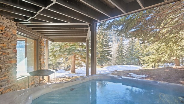 Ein Bereich mit Whirlpool, einer Steinwand und einer Glastür, umgeben von Bäumen und Schnee.