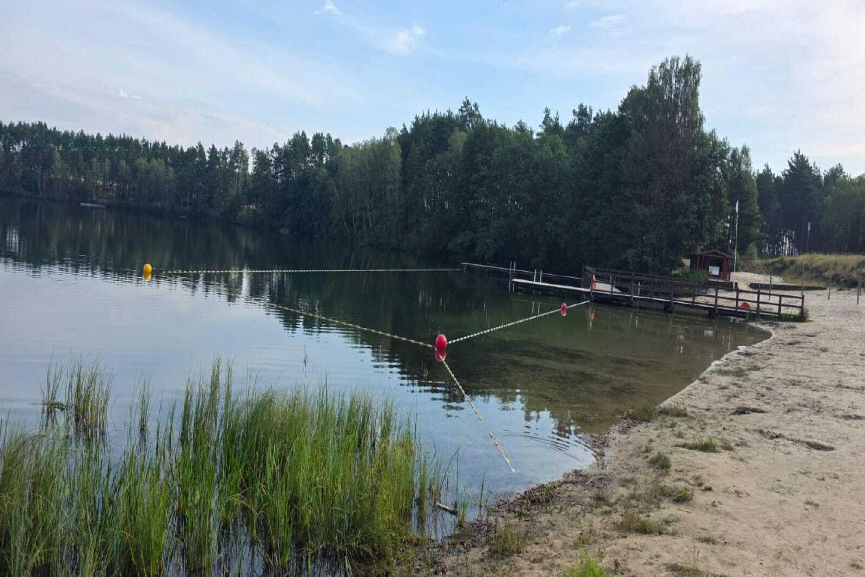 Un lago tranquilo con un muelle que se adentra en el agua, rodeado de árboles y una orilla arenosa.
