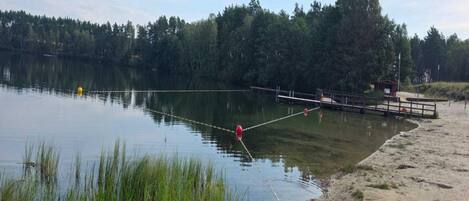 Un lago tranquilo con un muelle que se adentra en el agua, rodeado de árboles y una orilla arenosa.