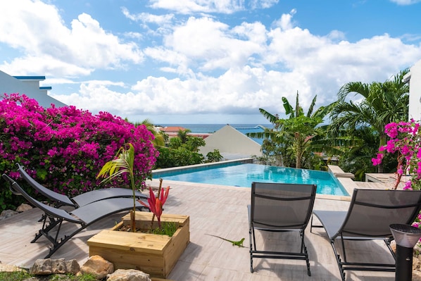 Pool - Blue Sail Apartments - Two bedroom apartments (sint maarten)