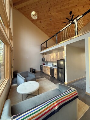 Smart TV - A distinctly modern stay hidden in Wisconsin's Northwoods. (Mercer)