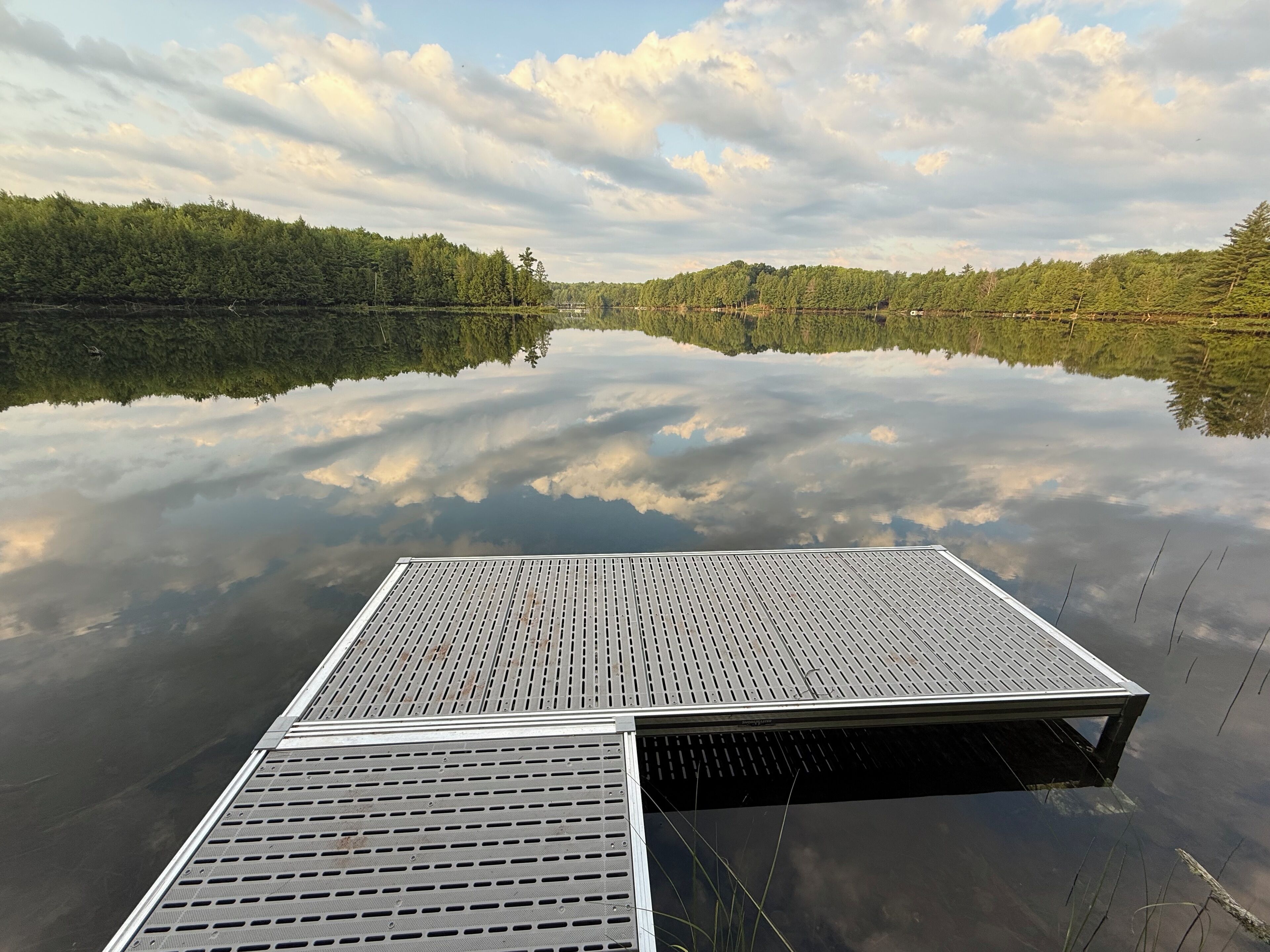 A calm lake with a dock extending into the water.