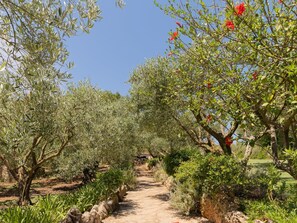 Property grounds - "Murtera by Interhome (Manacor)