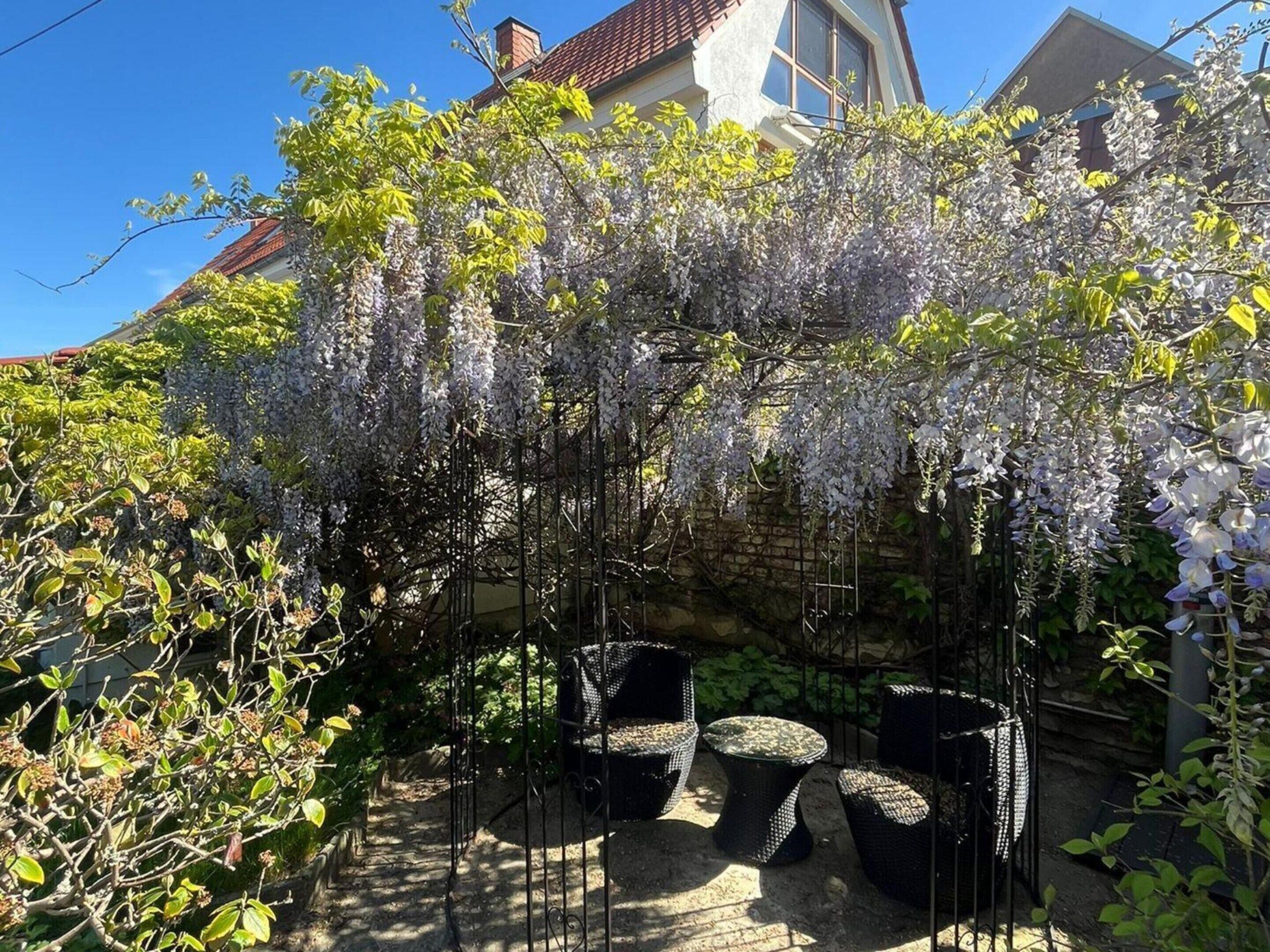 Un jardín con enredadera de glicinia, mobiliario exterior y un muro de piedra.
