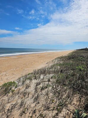 A beach with a sandy shore and sparse vegetation. - 2 bed, 2 bath home in Ormond by the Sea w/ private pool. Easy walk to the beach (Ormond Beach)