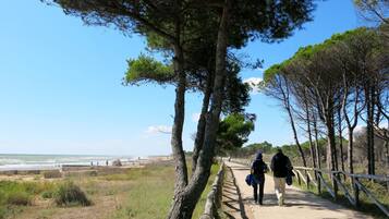 Place